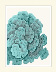 Blue Underwater Scenes 1 b