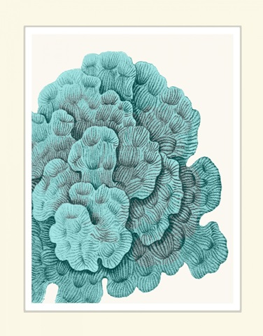 Blue Underwater Scenes 1 b