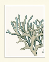 Blue Underwater Scenes 1 c