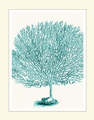 Blue Underwater Scenes 1 d