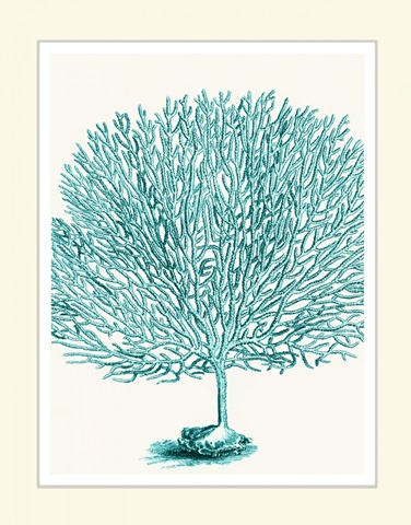 Blue Underwater Scenes 1 d