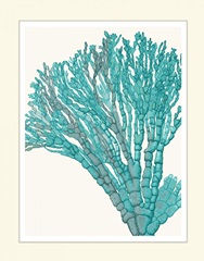 Blue Underwater Scenes 1 f