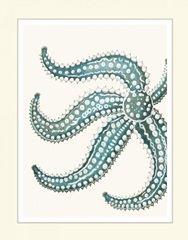 Blue Underwater Scenes 2 d