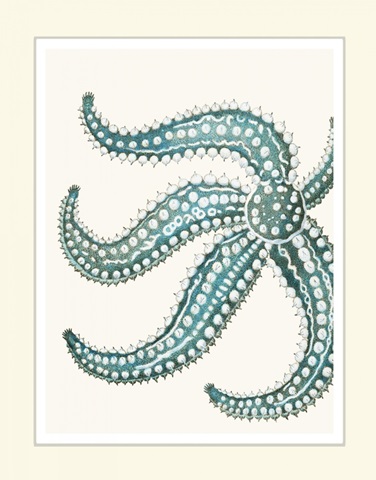 Blue Underwater Scenes 2 d