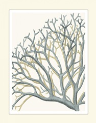 Blue Underwater Scenes 2 f