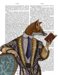 Book Reader Fox