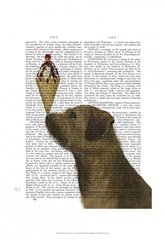 Border Terrier Ice Cream