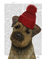 Border Terrier with Red Bobble Hat