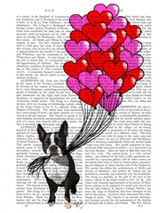 Boston Terrier And Balloons