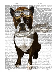 Boston Terrier Flying Ace