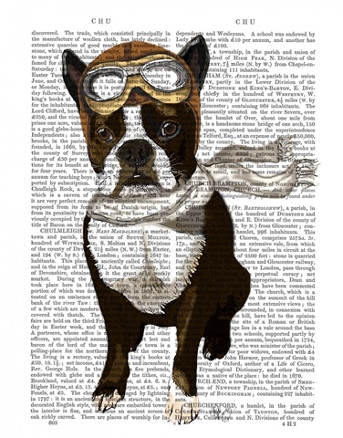 Boston Terrier Flying Ace