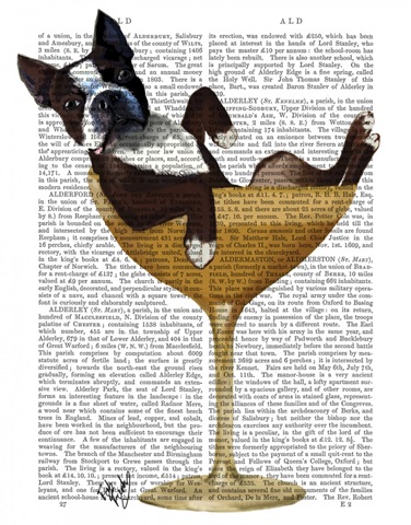 Boston Terrier in Cocktail Glass