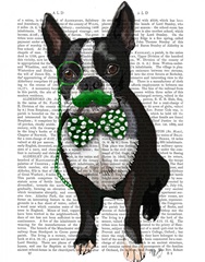 Boston Terrier With Green Moustache And Spotty Green Bow Tie