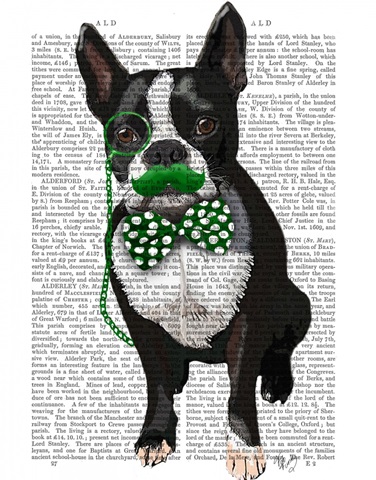 Boston Terrier With Green Moustache And Spotty Green Bow Tie