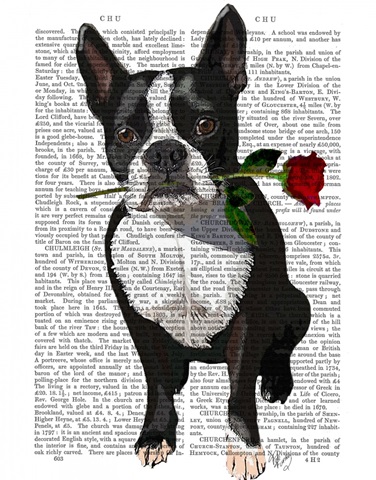 Boston Terrier with Rose in Mouth