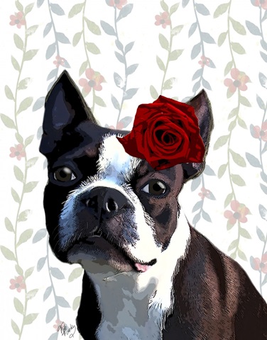 Boston Terrier with Rose on Head