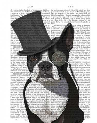 Boston Terrier, Formal Hound and Hat
