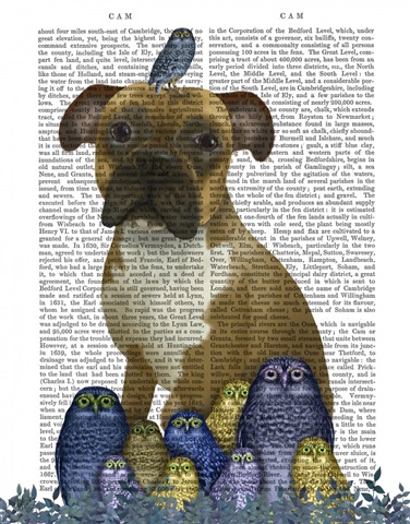 Boxer and Owls