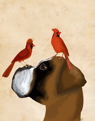 Boxer and Red Cardinals