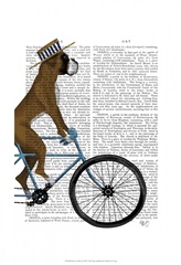 Boxer on Bicycle