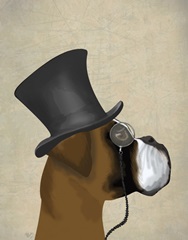 Boxer, Formal Hound and Hat