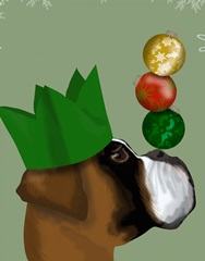 Boxer, Party Trick Baubles