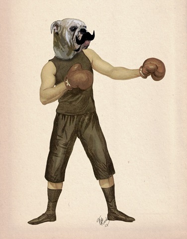 Boxing Bulldog Full