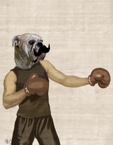 Boxing Bulldog Portrait