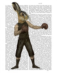Boxing Hare