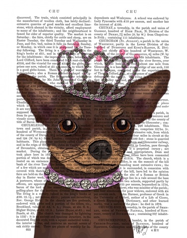 Brown Chihuahua And Tiara