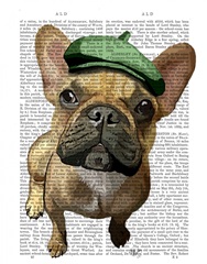Brown French Bulldog with Green Hat