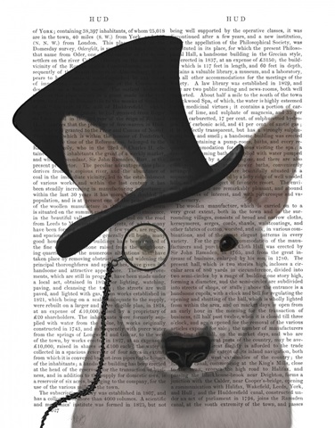 Bull Terrier, Formal Hound and Hat