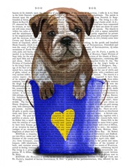 Bulldog Bucket Of Love Blue