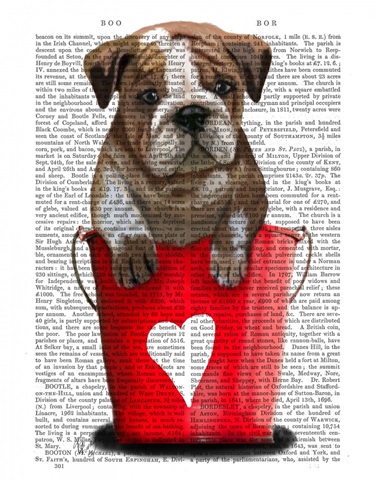 Bulldog Bucket Of Love Red