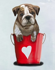 Bulldog Bucket Of Love Red