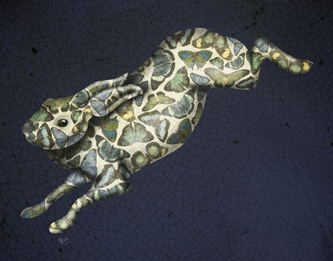Butterfly Hare