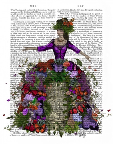 Butterfly House Queen