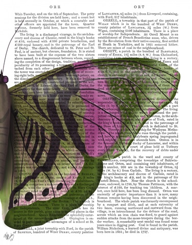 Butterfly in Green and Pink b