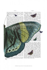 Butterfly in Turquoise and Yellow b