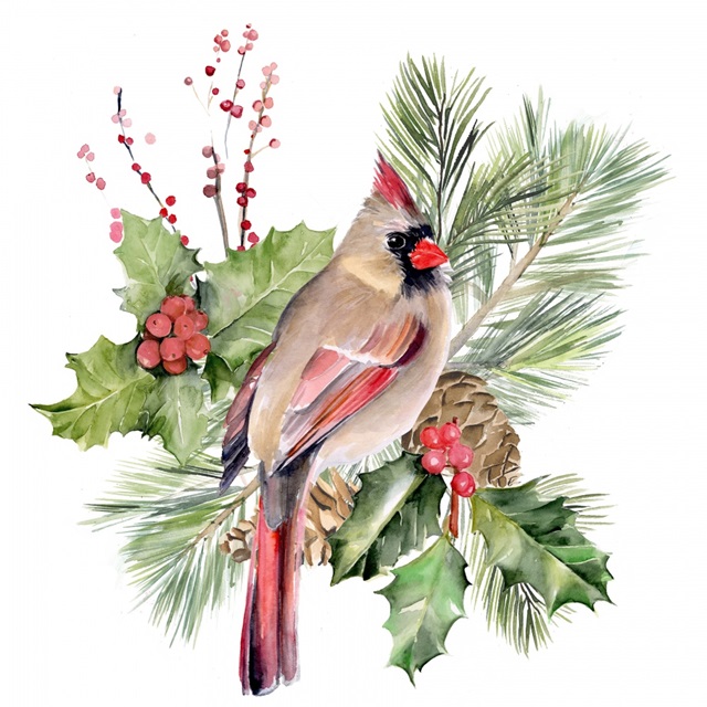 Cardinal Holly Christmas II