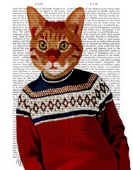 Cat in Ski Sweater