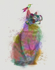 Cat Rainbow Splash 11