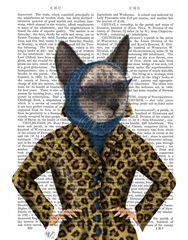 Cat with Leopard Jacket