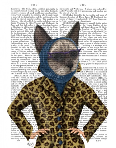 Cat with Leopard Jacket