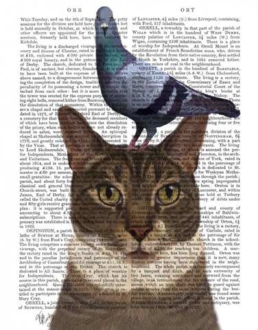 Cat with Pigeon on Head