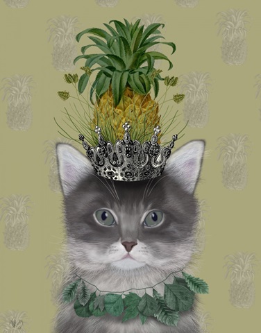 Cat, Pineapple Puss