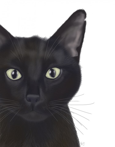 Cat, Portrait of Gus