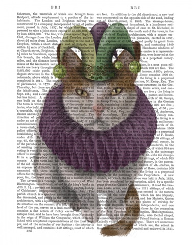 Cat, White with Jester Hat