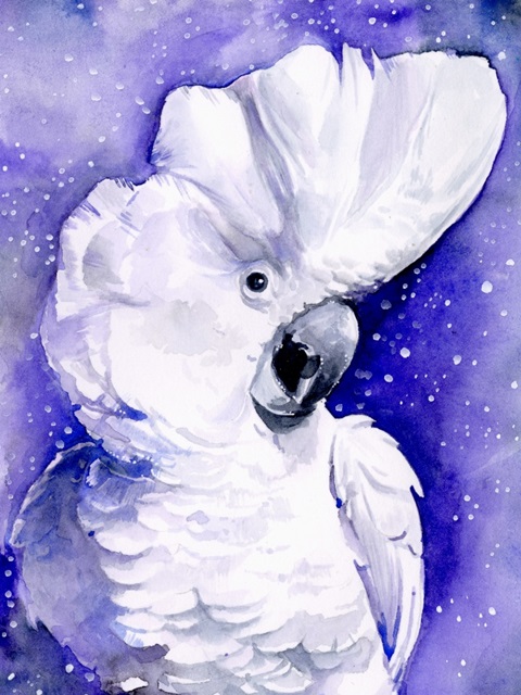 Celestial Cockatoos I