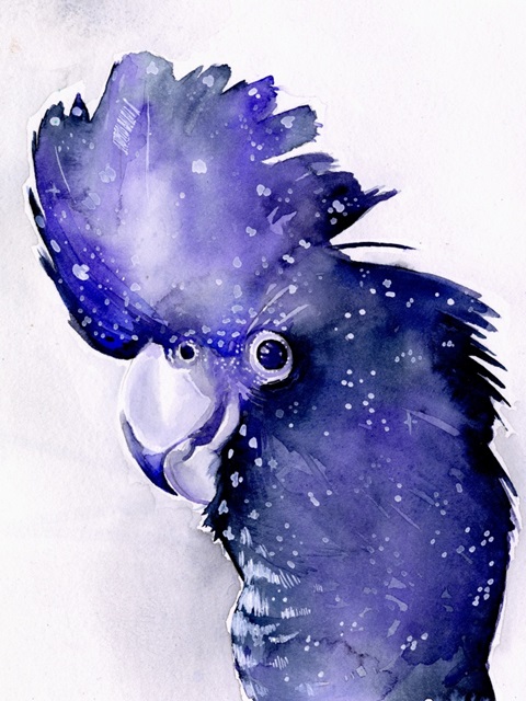 Celestial Cockatoos II